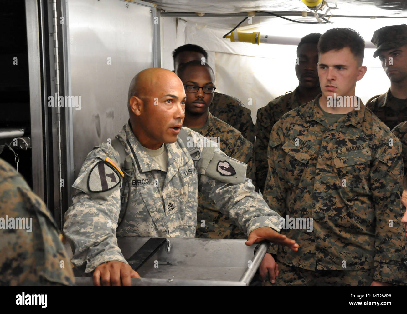 air force mortuary affairs