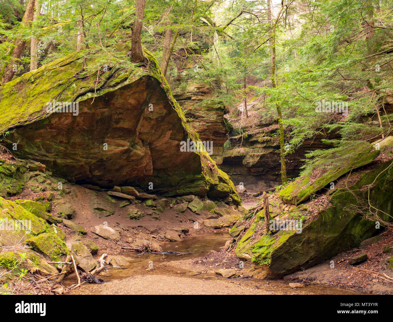 Wedge Rock. Rocky Hollow, Turkey Run State Park, Indiana Stock Photo