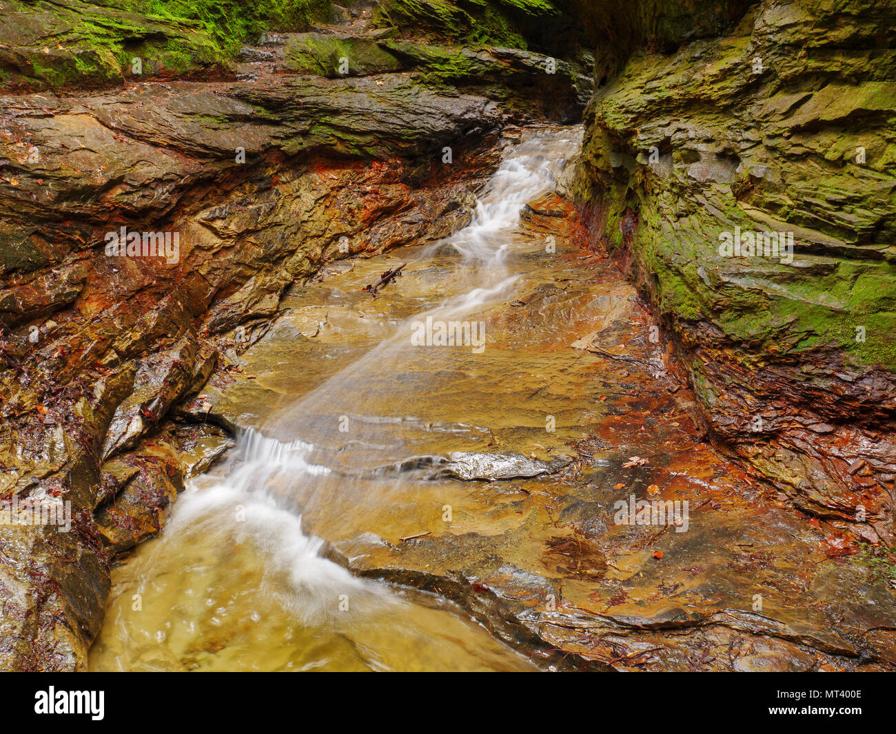 Rushing creek. Rocky Hollow, Turkey Run State Park, Indiana Stock Photo