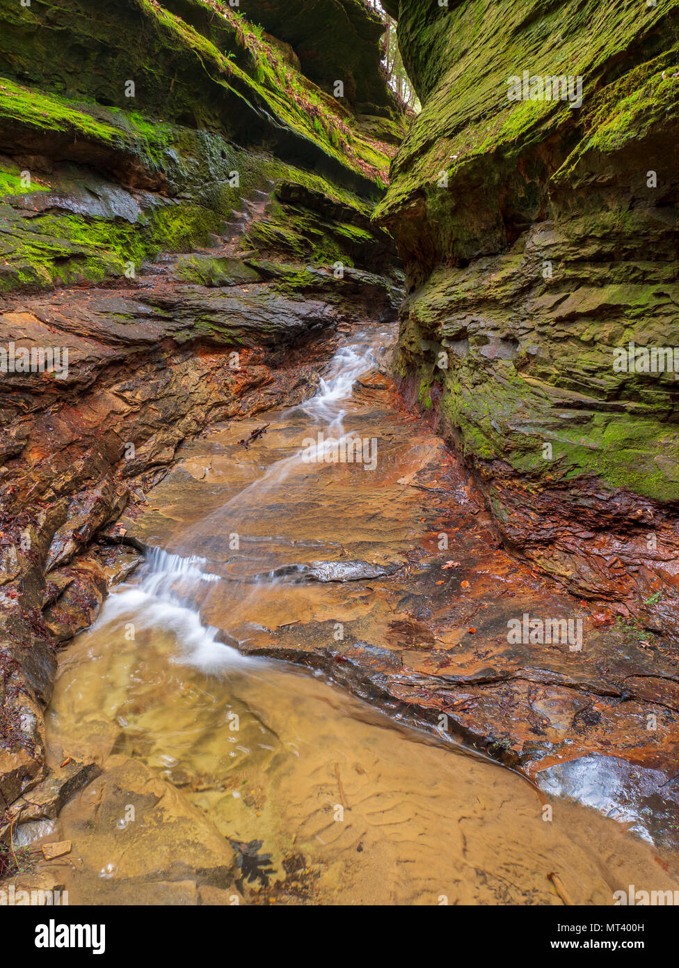 Rushing creek. Rocky Hollow, Turkey Run State Park, Indiana Stock Photo
