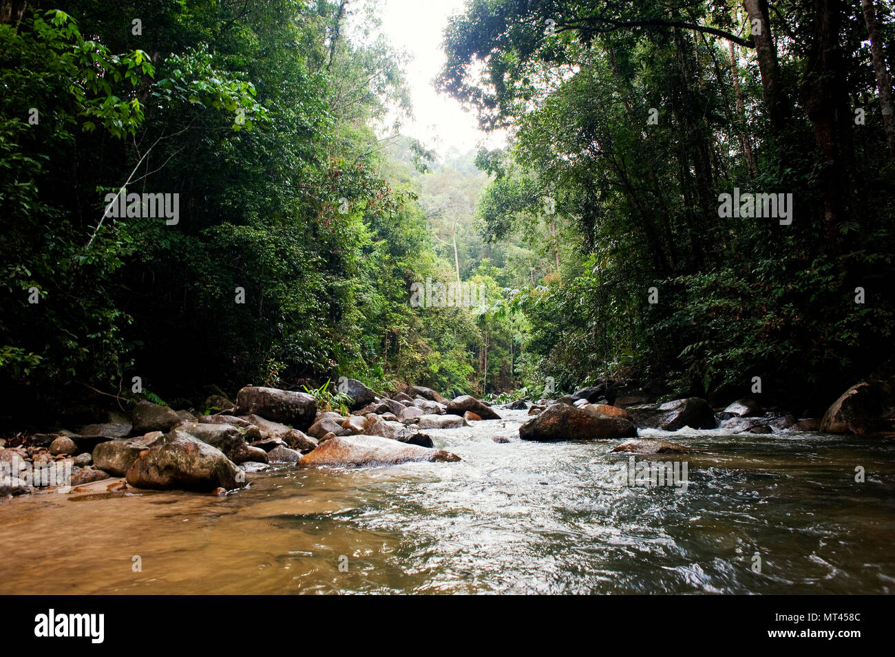 Sungai Chiling sanctuary Stock Photo