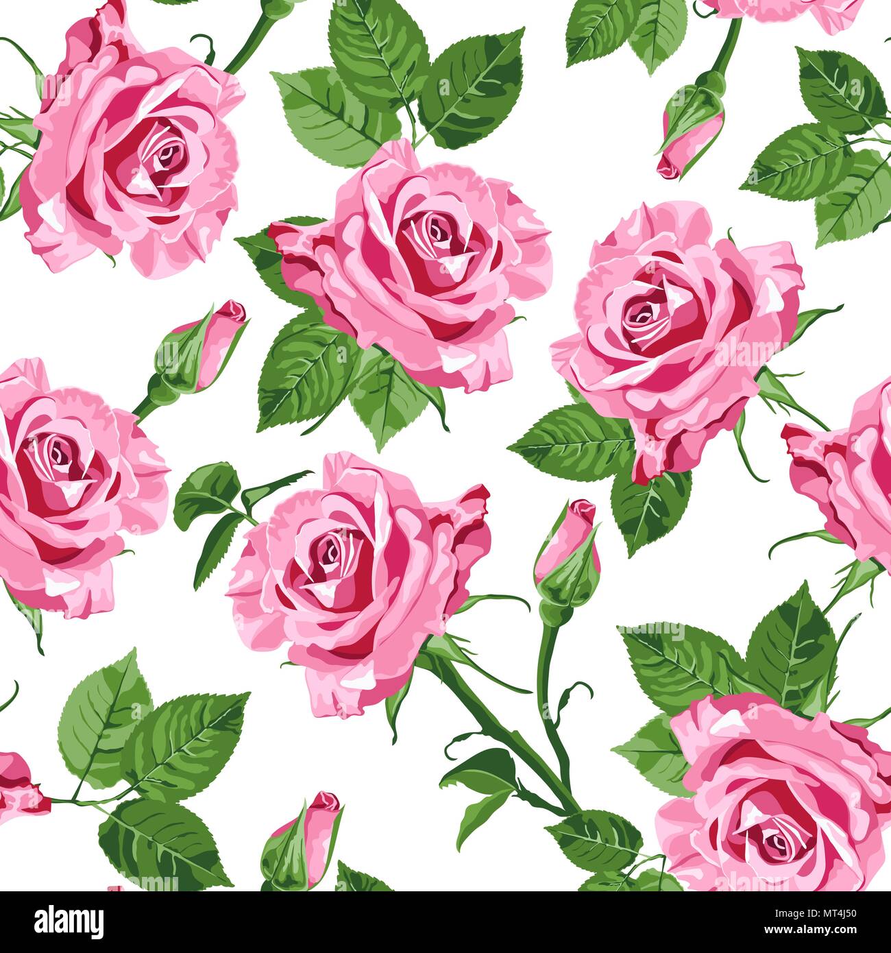 Bright pink vector roses and green leaves on the white background ...