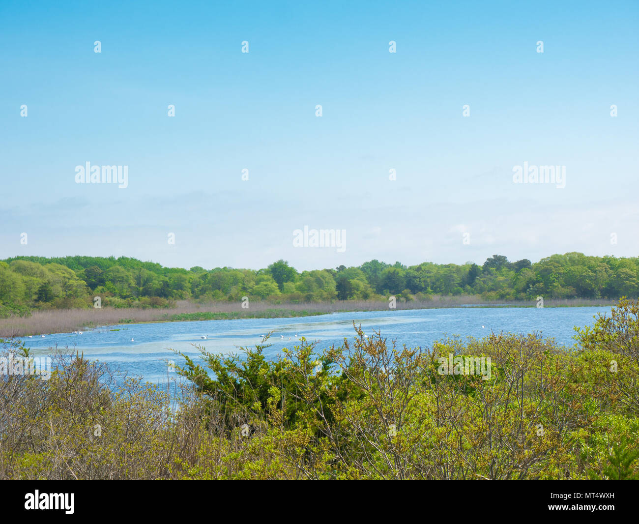 Cape May Nj High Resolution Stock Photography and Images Alamy