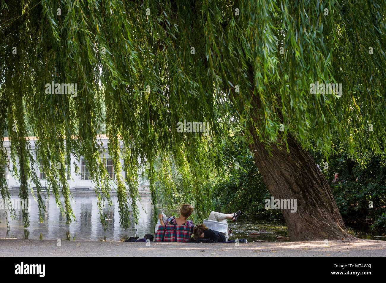 A couple relaxing under a willow tree in Rathaus Schoneberg Park