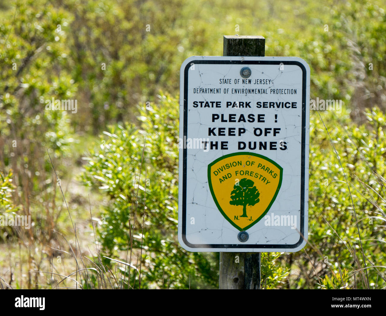 Keep off the dunes Stock Photo