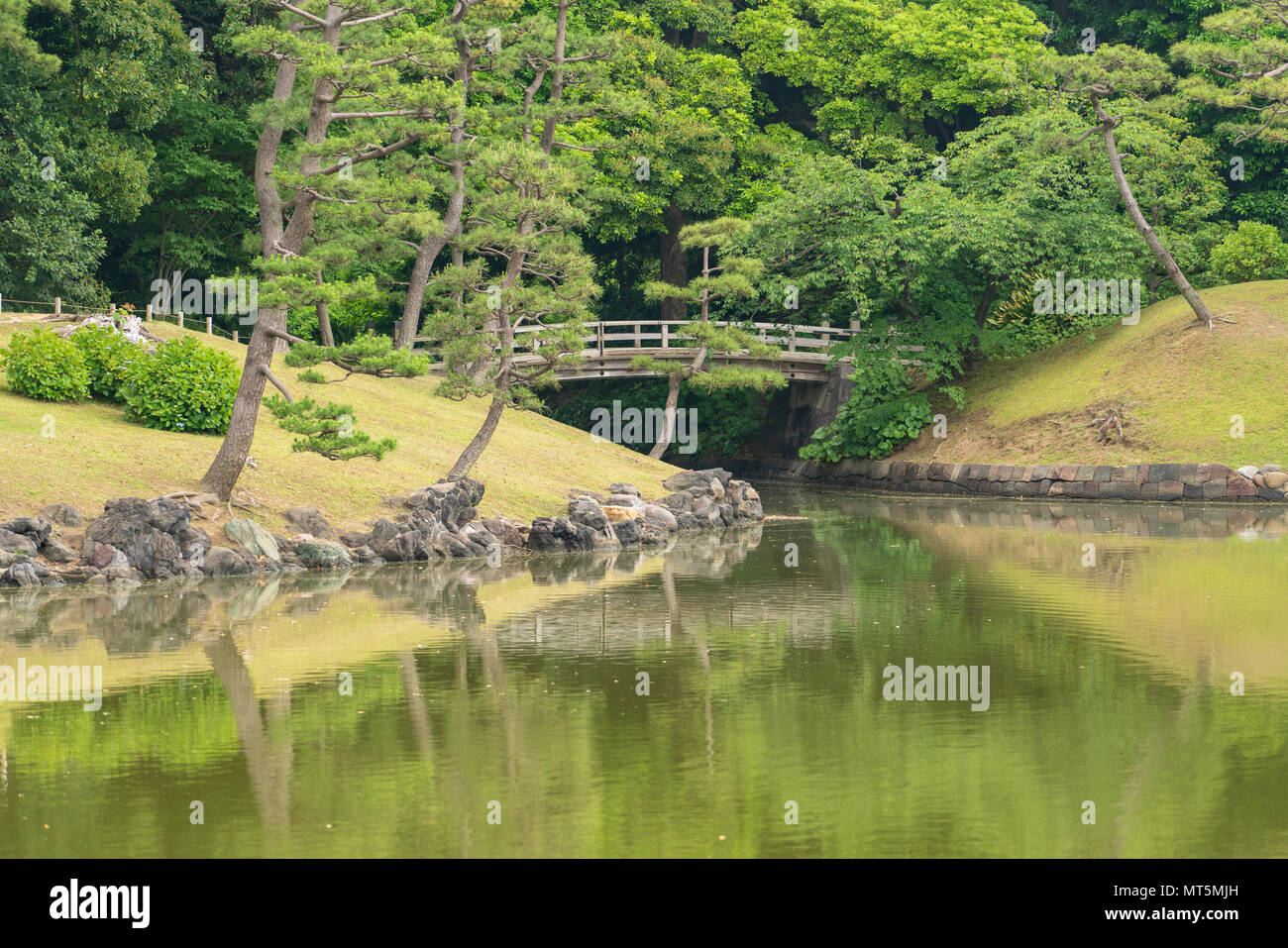 Hamarikyu Gardens in Tokyo are a popular spot for both tourists and locals.  This park has ponds, bridges and a Japanese tea house in its grounds. Stock Photo