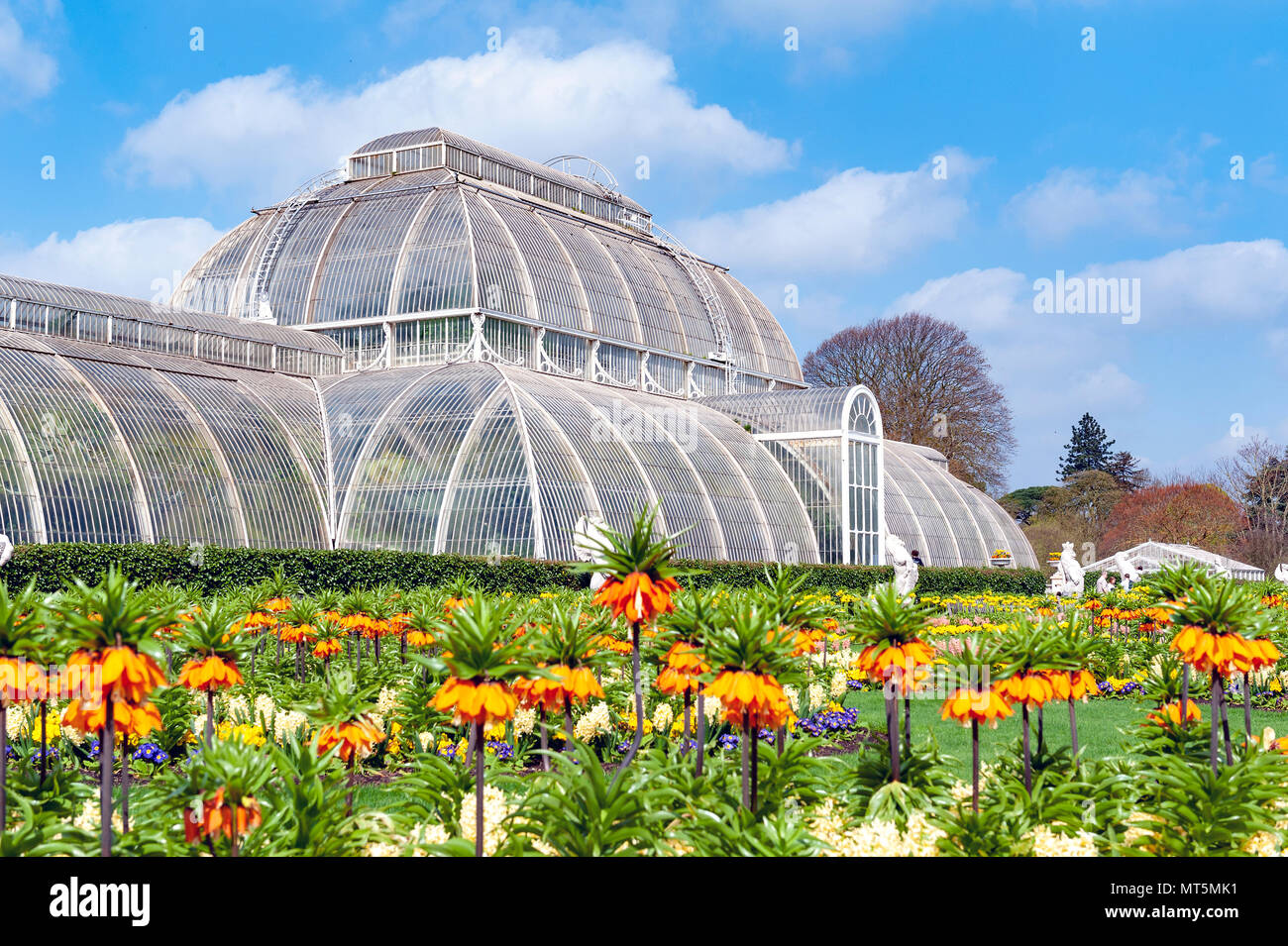 London, UK - April 2018: Palm House, an iconic Victorian glasshouse recreating a rainforest climate for tropical plants at Kew Garden, England Stock Photo