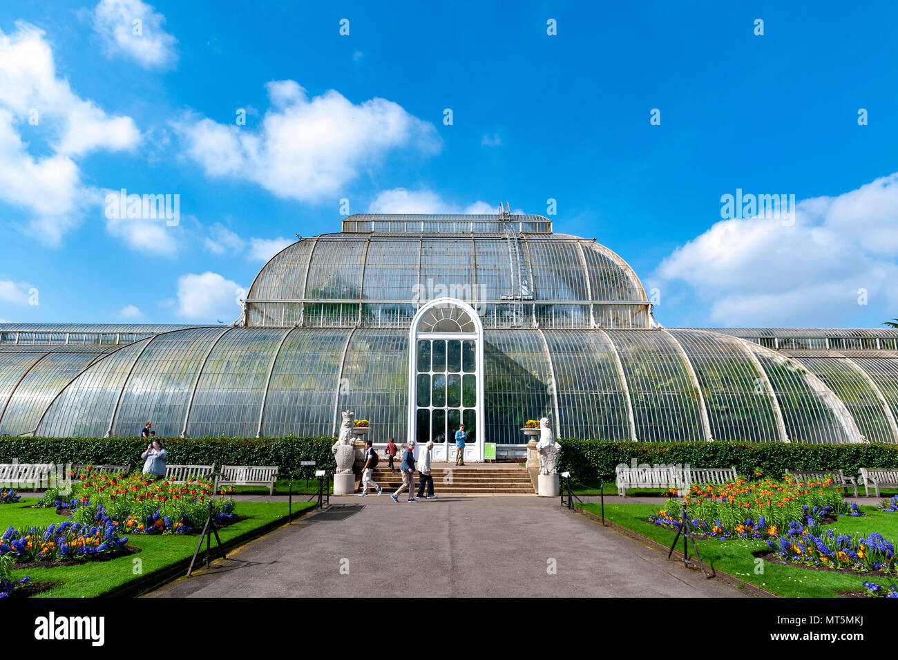 London, UK - April 2018: Palm House, an iconic Victorian glasshouse recreating a rainforest climate for tropical plants at Kew Garden, England Stock Photo