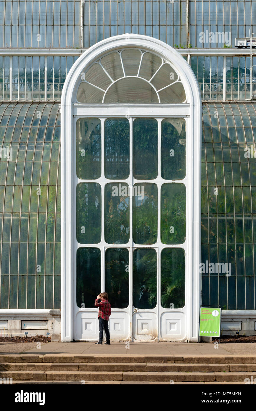 London, UK - April 2018: Palm House, an iconic Victorian glasshouse recreating a rainforest climate for tropical plants at Kew Garden, England Stock Photo