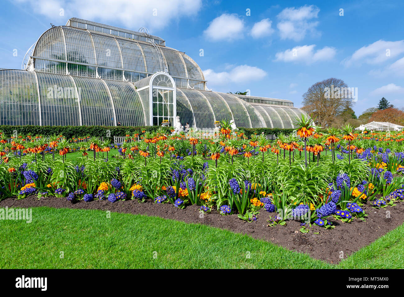 London, UK - April 2018: Palm House, an iconic Victorian glasshouse recreating a rainforest climate for tropical plants at Kew Garden, England Stock Photo