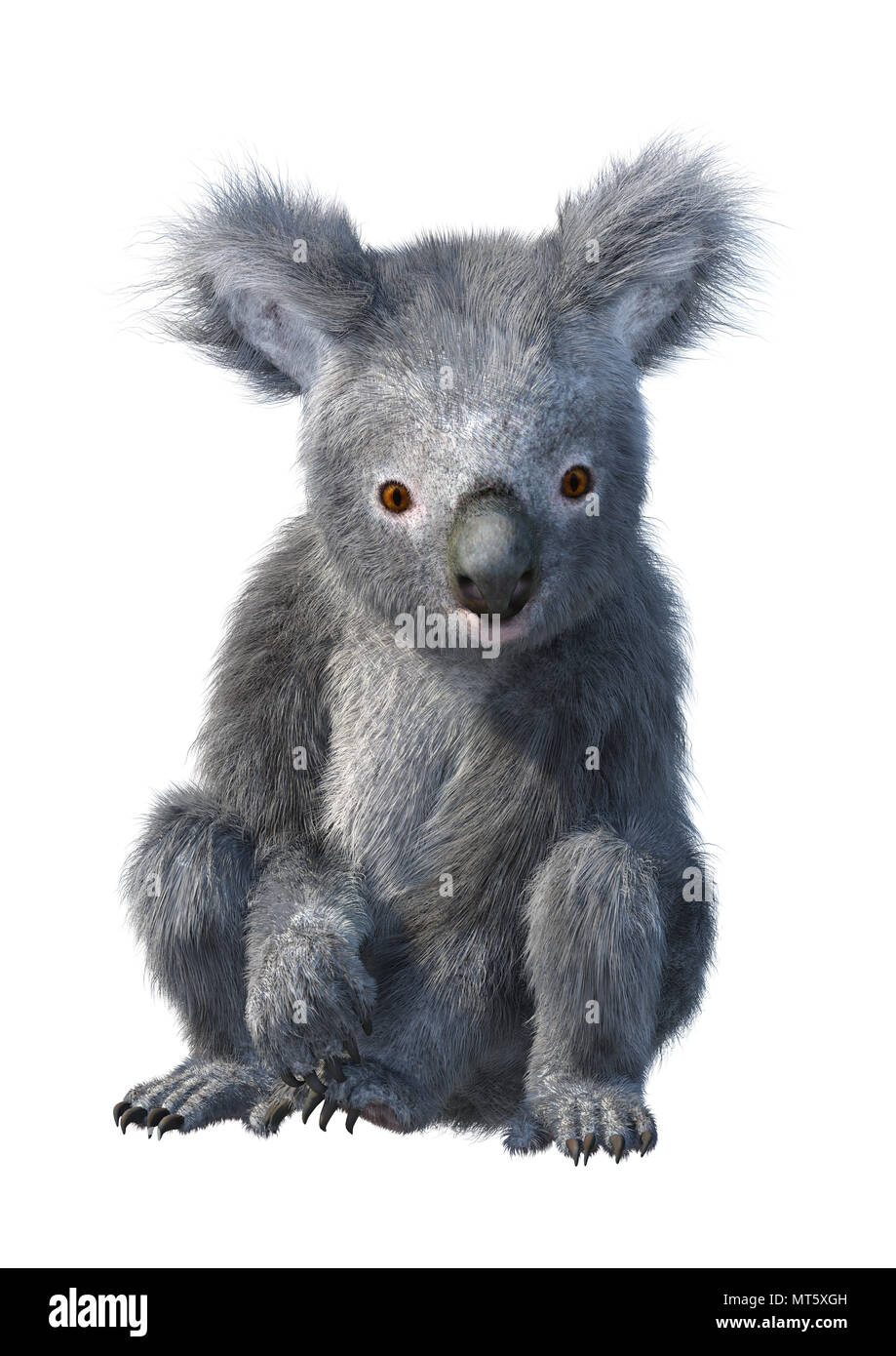 3D rendering of a cute koala bear isolated on white background Stock ...
