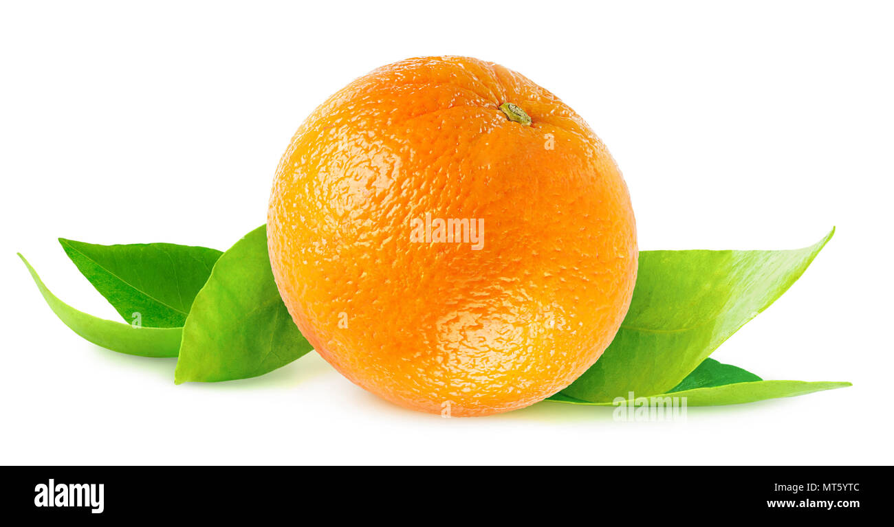 Isolated orange. One whole orange fruit on fresh leaves isolated on white background with clipping path Stock Photo