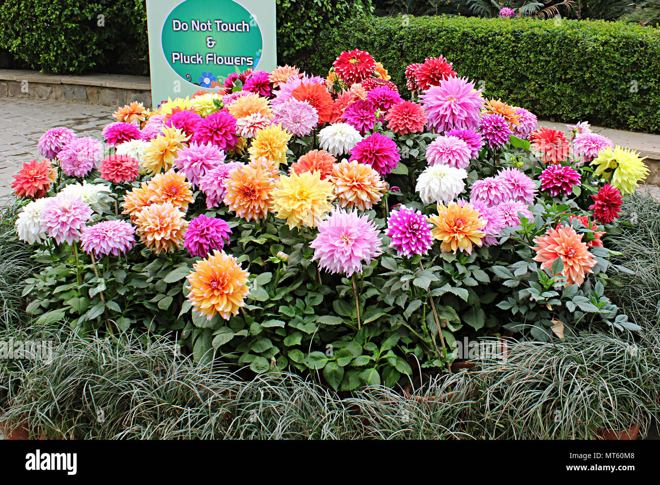 Garden Of The Five Senses Stock Photos & Garden Of The Five Senses