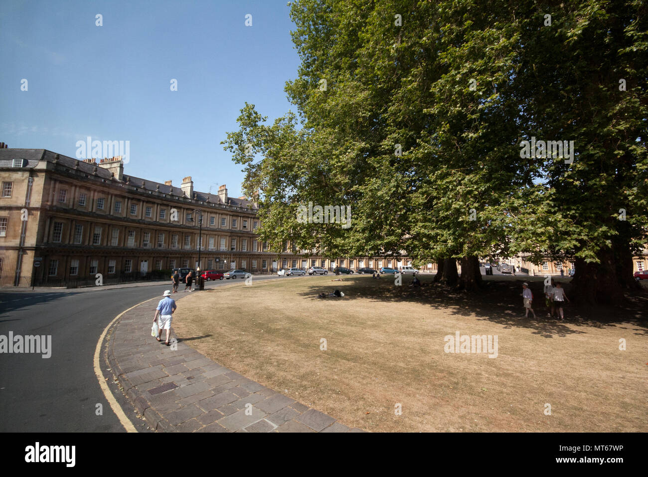 The circus trees in front of crescent buildings in city of Bath, England, UK. Stock Photo