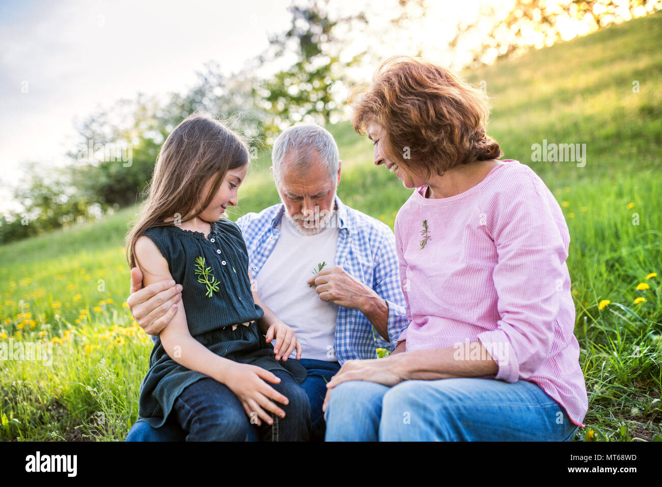 Senior couple with grandaughter outside in spring nature, relaxing on the grass. Stock Photo