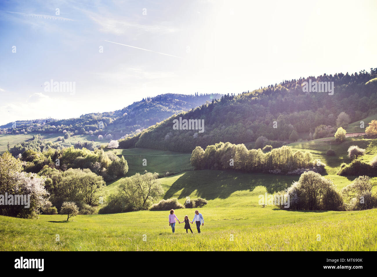 Senior couple with grandaughter outside in spring nature, walking. Stock Photo