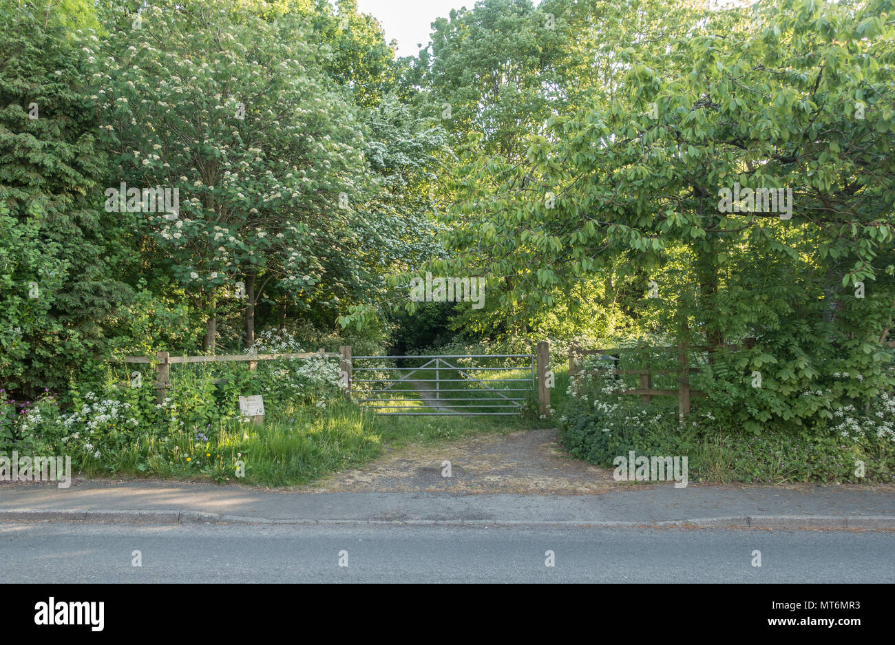 Snedshill a gated entrance to woodland area popular with dog walkers Stock Photo