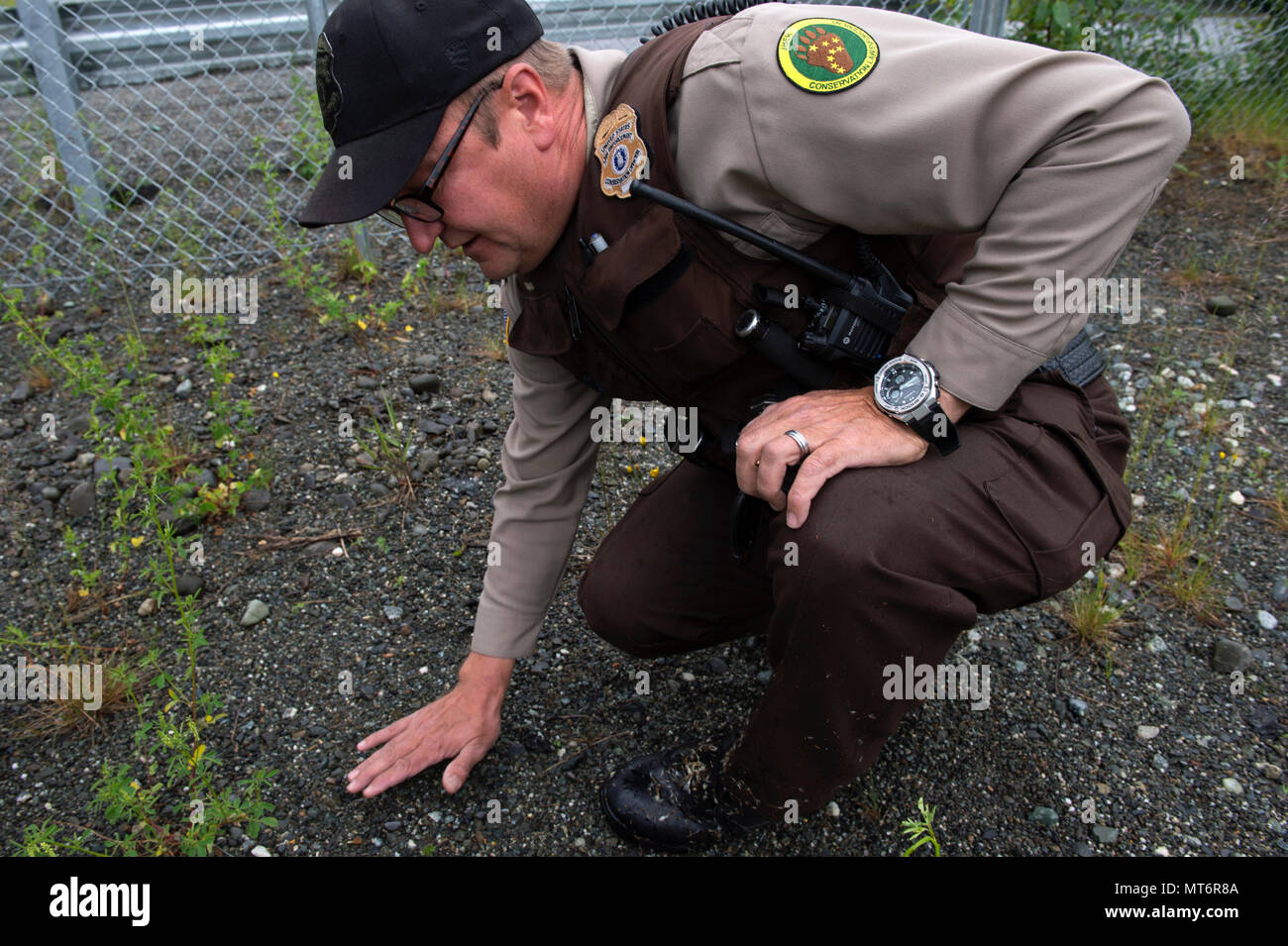 James Wendland, 673d Civil Engineer Squadron chief conservation law  enforcement officer, inspects a site where people were reportedly feeding  wildlife, at Joint Base Elmendorf-Richardson, Alaska, June 30, 2017.  According to the Alaska