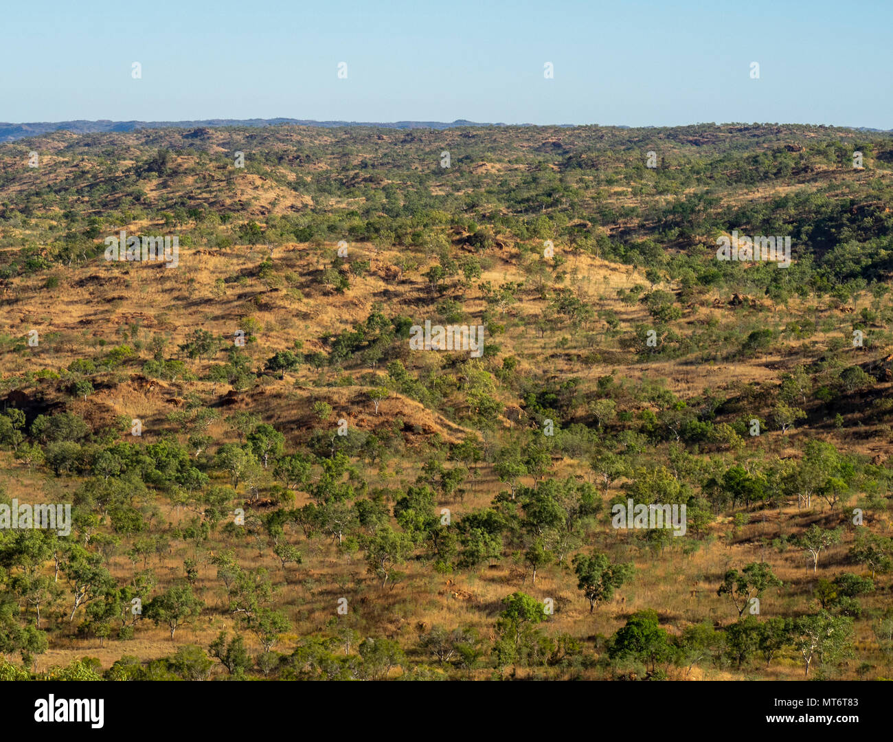 Rolling hills and eucalyptus savanna of the Kimberley, WA, Australia. Stock Photo