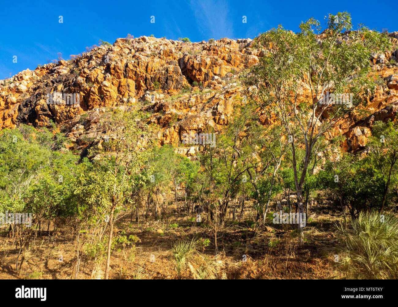 The red pindan cliffs of the Leopold Ranges the Kimberley, WA, Australia Photo - Alamy