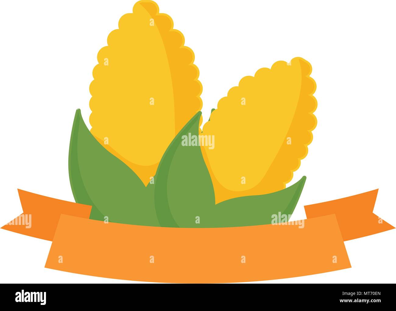 Corn Ribbons decorative ribbon with corns over white background, vector illustration ...