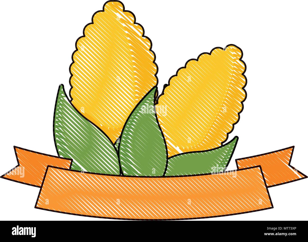 Corn Ribbons decorative ribbon with corns over white background, vector illustration ...