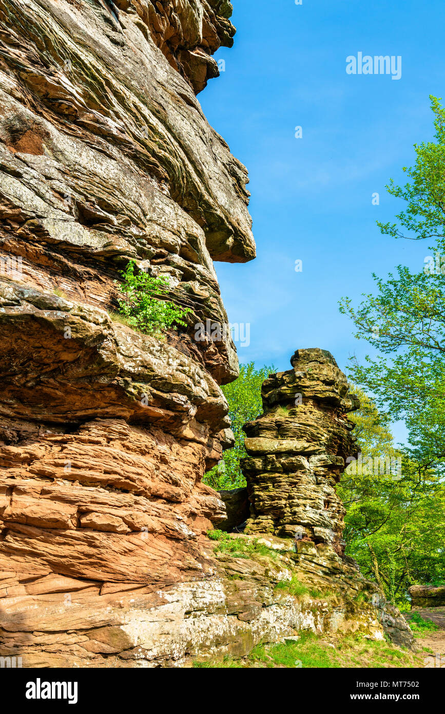 Sandstone rocks in the Palatinate Forest. Germany Stock Photo
