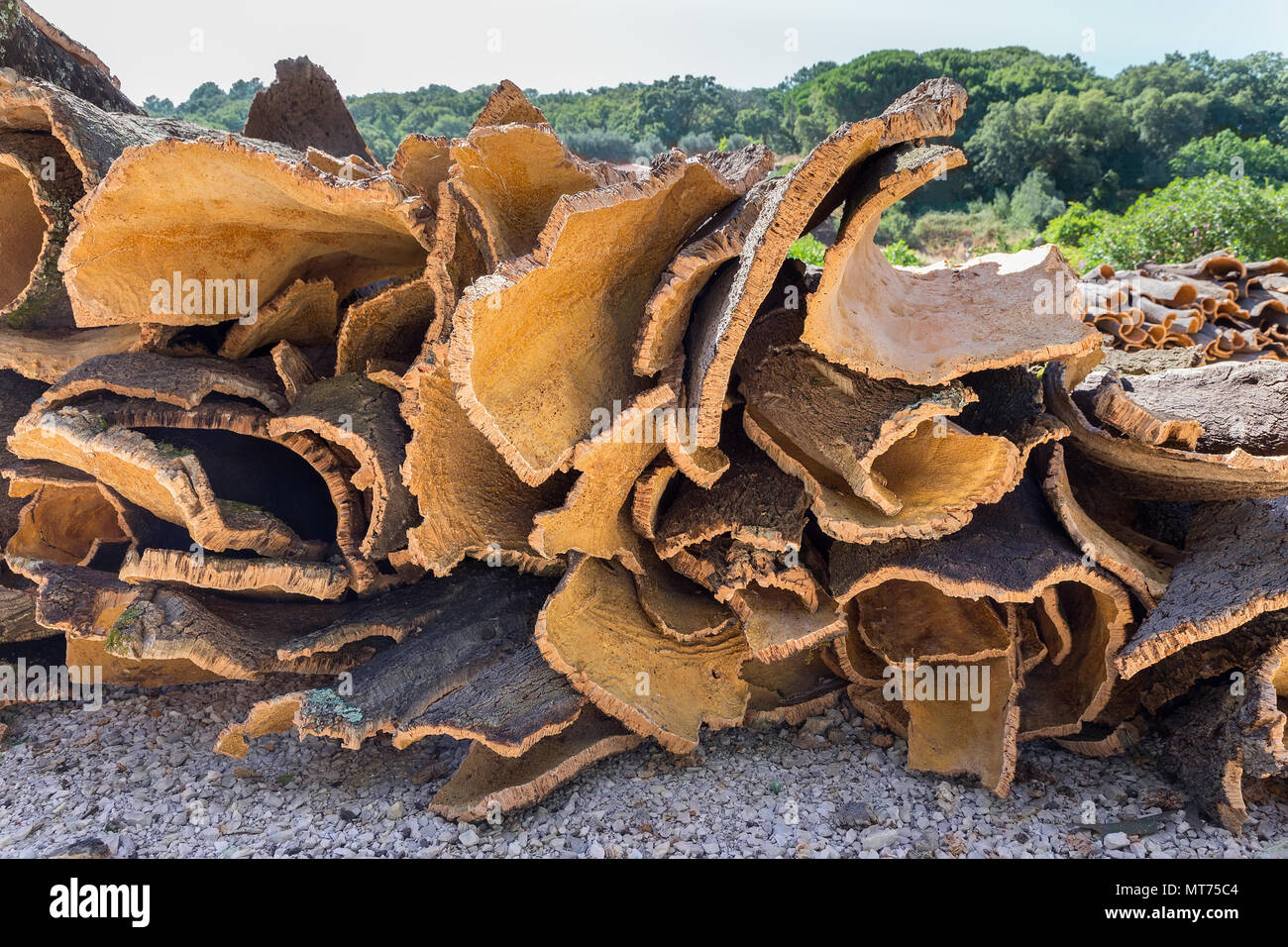 Heap of cork tree bark as raw commodity outside Stock Photo