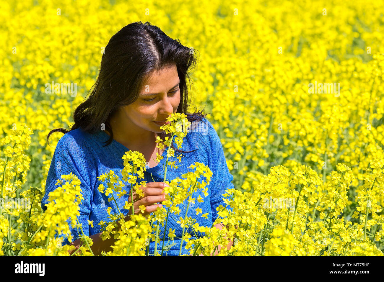 Young colombian woman smelling flowers in flourishing yellow rapeseed field Stock Photo