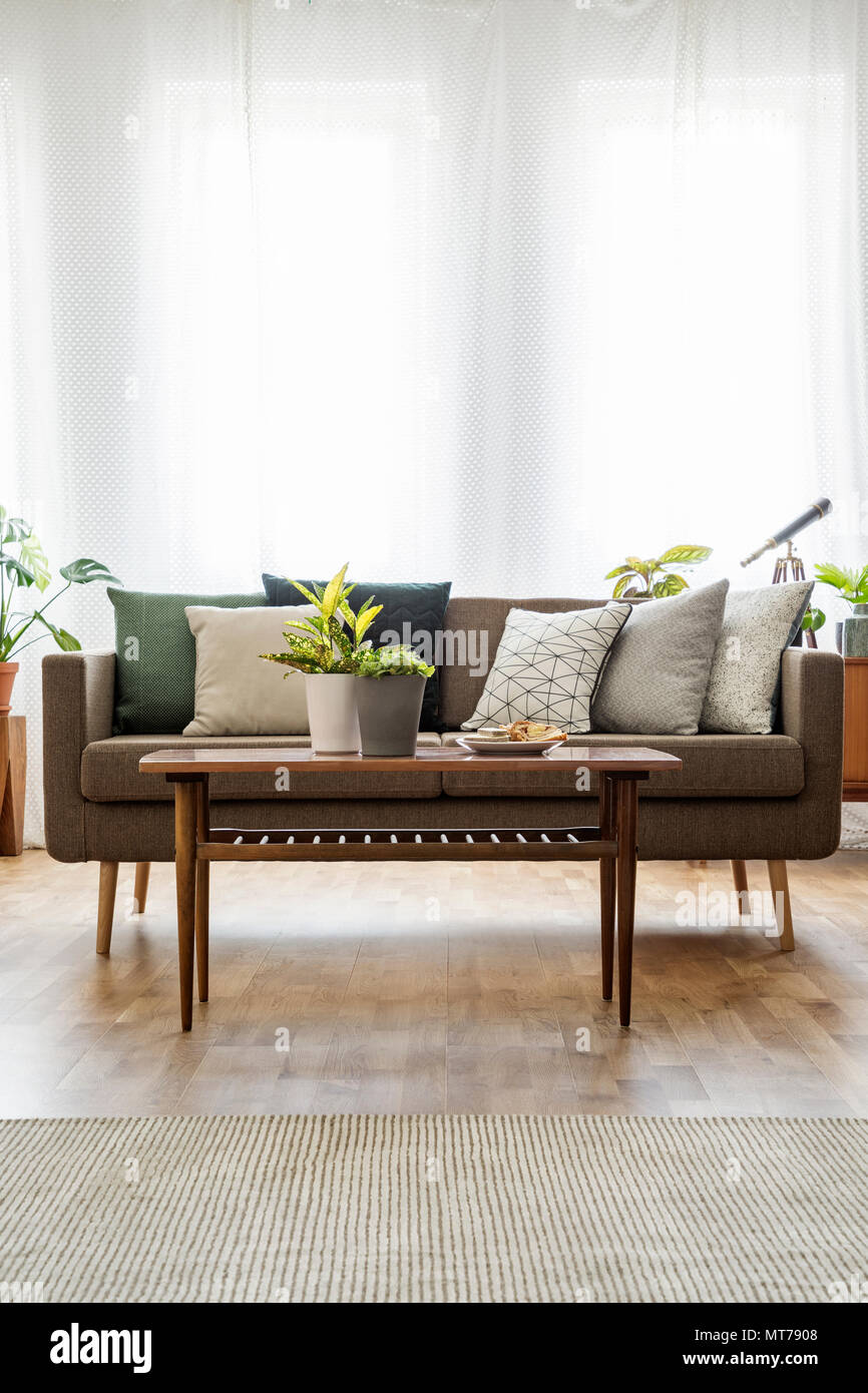 Plants on wooden table in front of couch with pillows in bright 