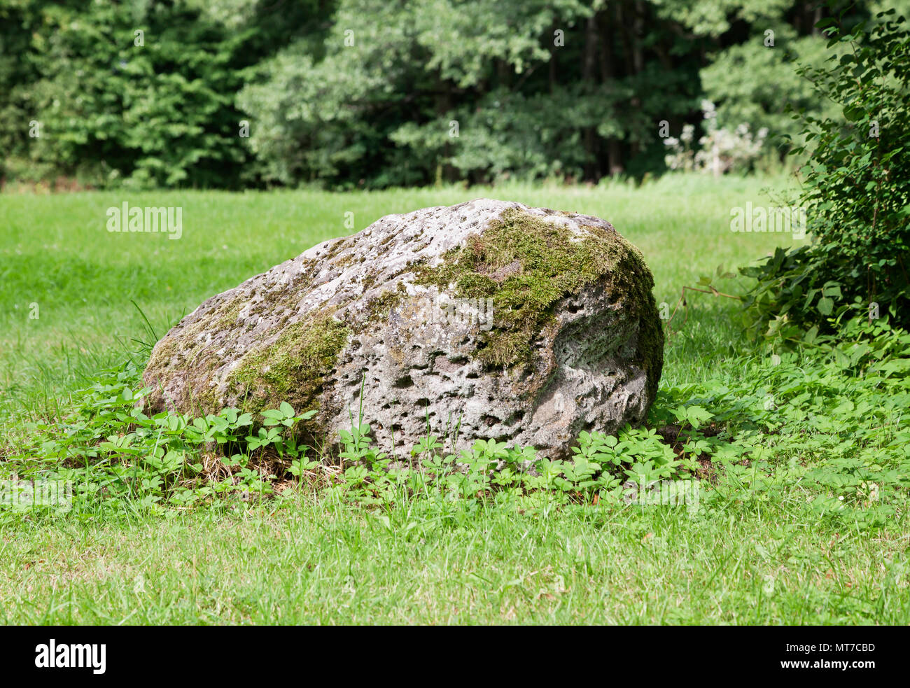 Mossy boulder laying in the grass on a sunny day Stock Photo