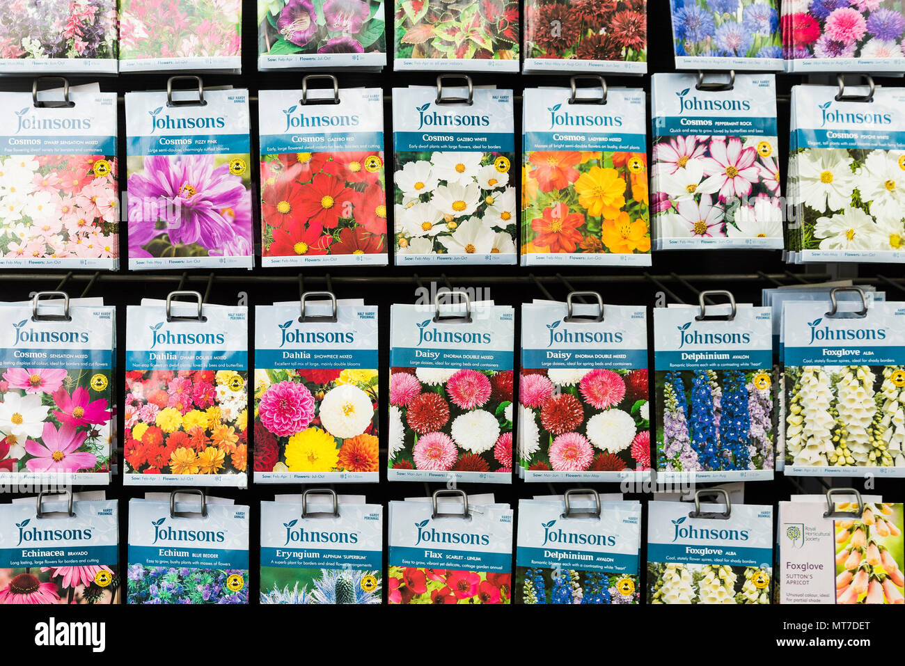 Packets of flower seeds on sale in a garden centre. Stock Photo