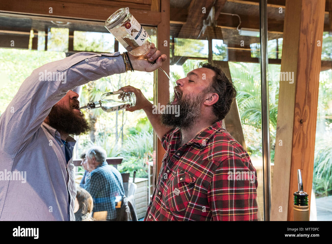 Bearded hipsters drinking gin straight from the bottle at an event at Trebah Garden Amphitheatre in Cornwall. Stock Photo
