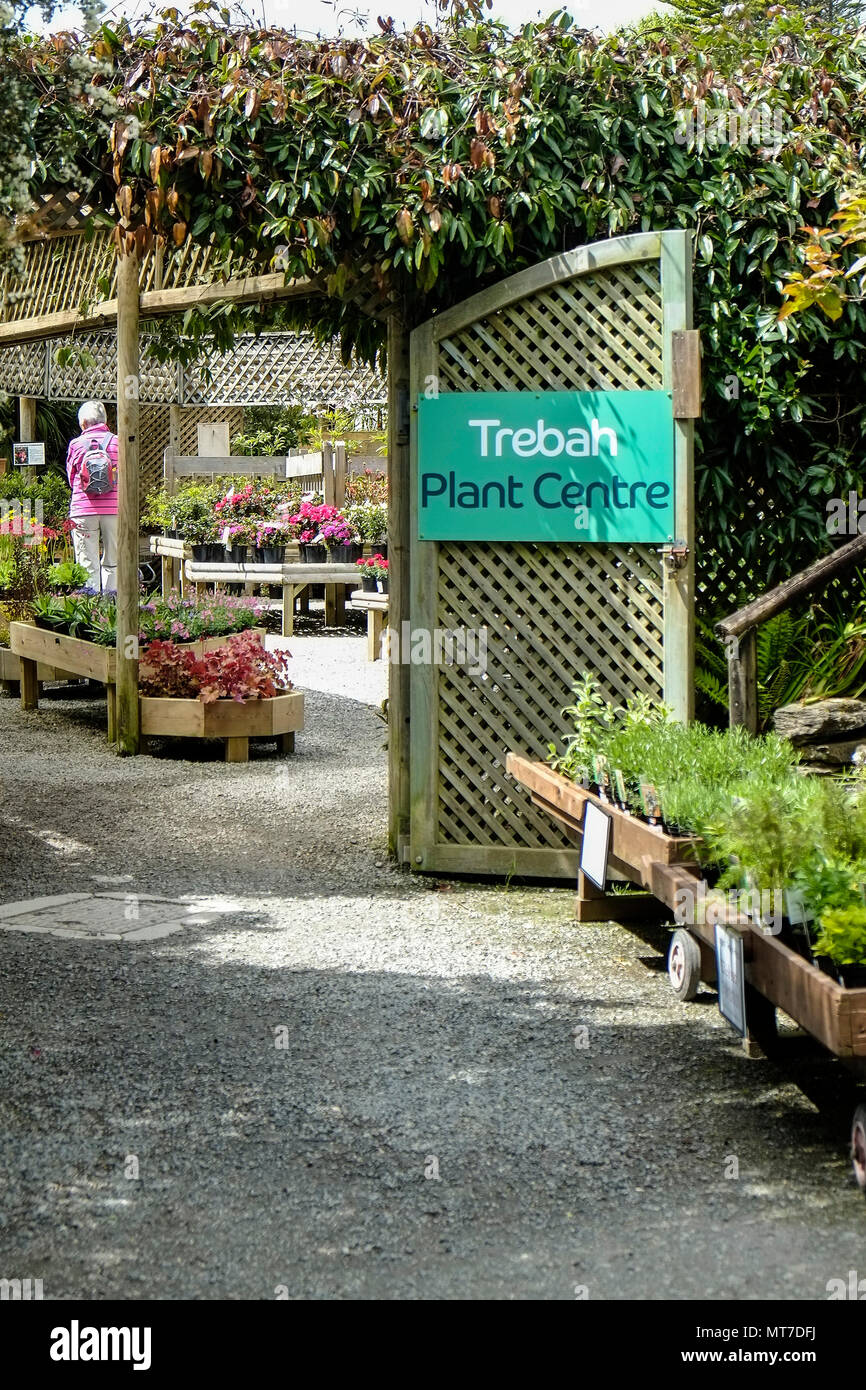 Trebah Plant Centre at Trebah Garden in Cornwall. Stock Photo