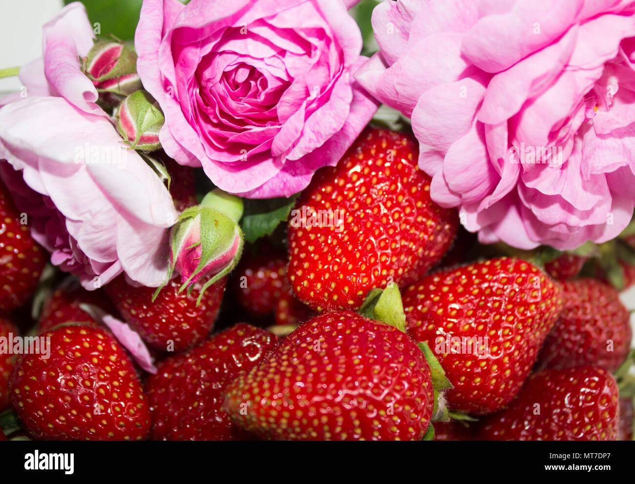 Picture of fresh ripe perfect strawberry. Macro Stock Photo - Alamy