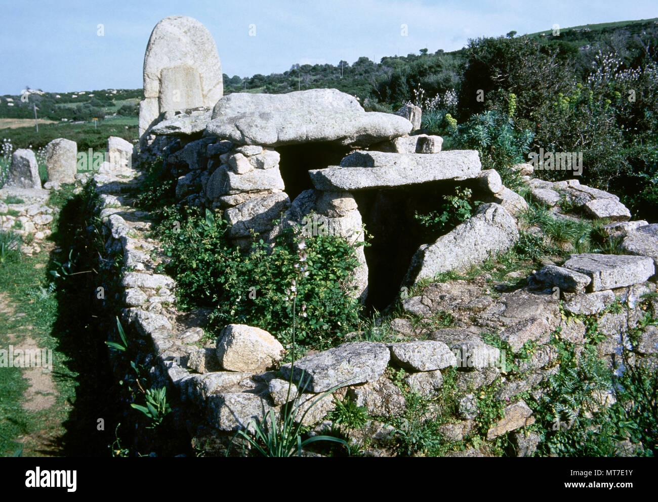 Giants' grave of Coddu Vecchiu. Nuragic funerary monument, near Arzachena. The site constists of a stele, stone megaliths and a gallery grave. Communal grave for notables of the Gens. Sardinia, Italy. Bronze Age. 2500 BC. Stock Photo