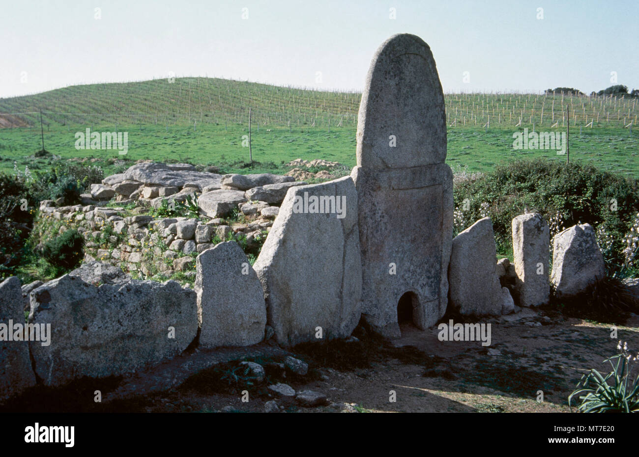 Giants' grave of Coddu Vecchiu. Nuragic funerary monument, near Arzachena. The site constists of a stele, stone megaliths and a gallery grave. Communal grave for notables of the Gens. Sardinia, Italy. Bronze Age. 2500 BC. Stock Photo