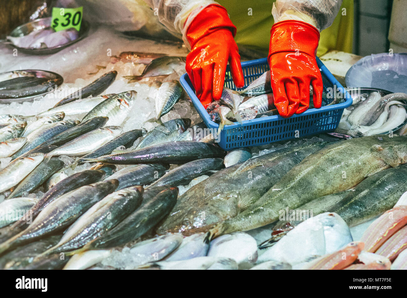 Fresh fish on stall in Hong Kong wet market. Stock Photo