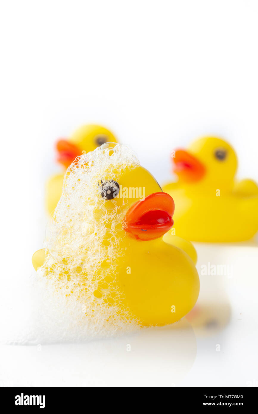 3 Yellow rubber ducks with soap suds on its head on white background