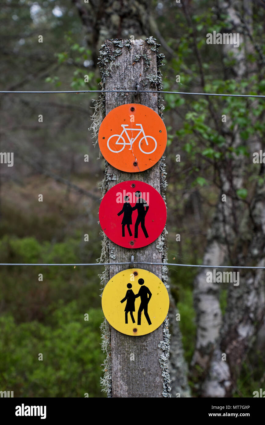 Trail markers on a post in Rothiemurchus Forest in the Cairngorms National Park, near Aviemore, Scotland, UK. Stock Photo