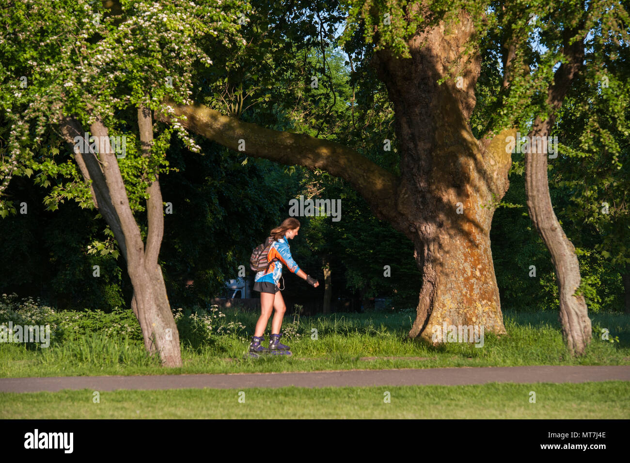 A girl on rollerskates in London park Stock Photo