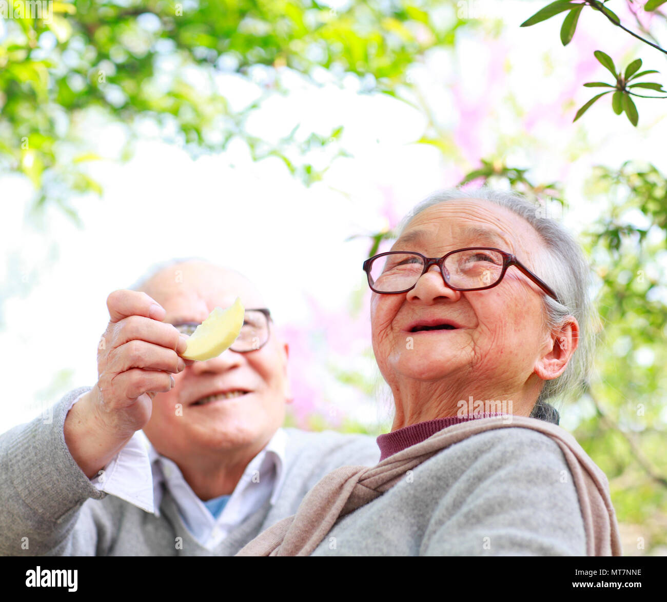 happy senior Chinese couple together in the garden outdoor daily lifestyles Stock Photo