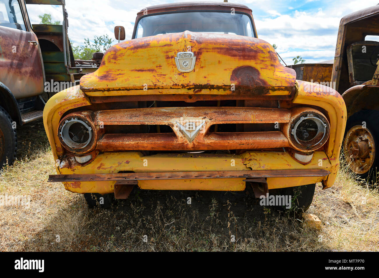 1950 Old Rusty Yellow V8 Ford Truck Part Of Tom Priors