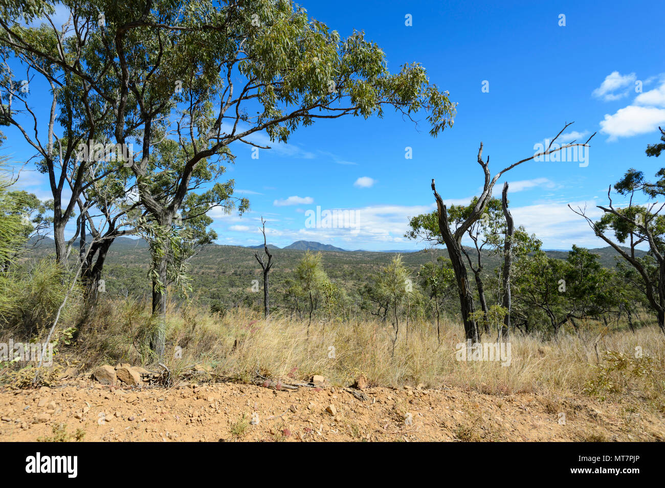 Scenic view of the Hodgkinson Goldfields, near Mount Mulligan, Far North Queensland, FNQ, QLD, Australia Stock Photo