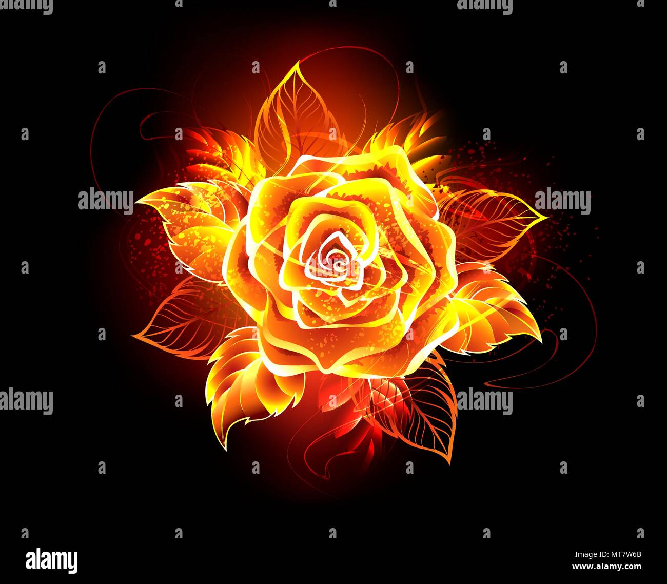 Blooming rose from fire and flame on black background. Stock Vector