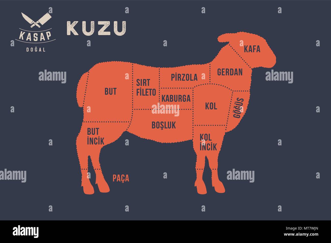 Meat Cuts Poster Butcher Diagram Kuzu Stock Vector Image Art Alamy
