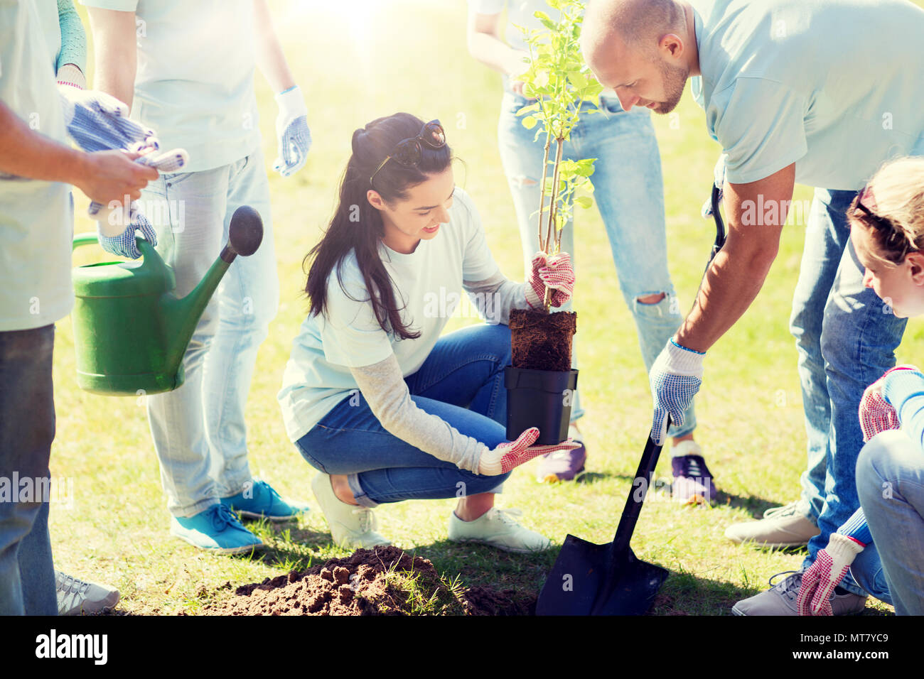 Group Of Volunteers Planting Tree In Park Stock Photo - Alamy