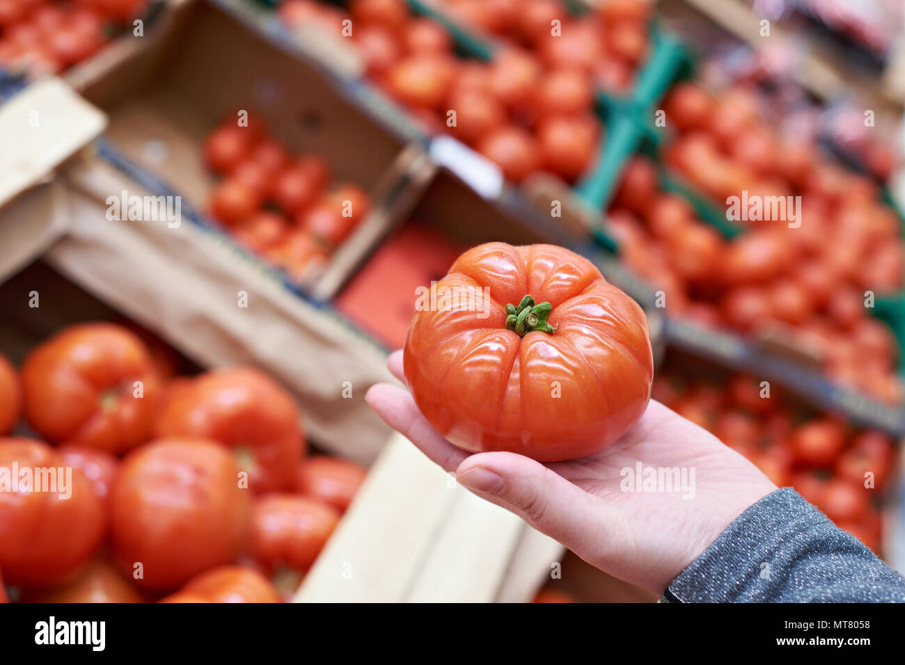 Tomato in the hand of the buyer at the grocery store Stock Photo