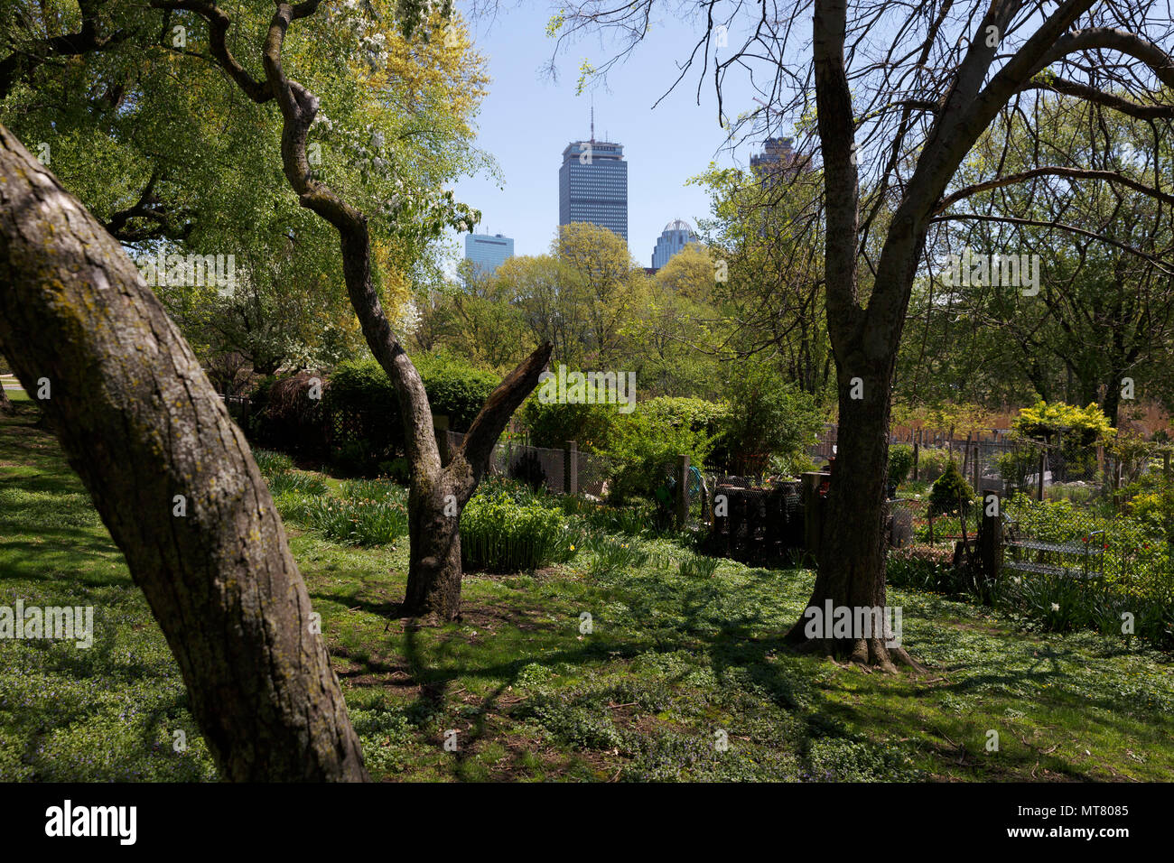 Fenway victory gardens hires stock photography and images Alamy