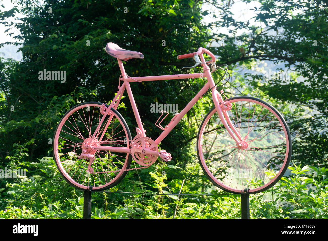 pink downhill bike